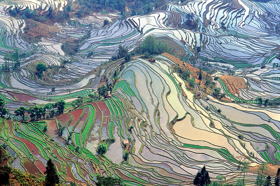 在中国云南省,古代阶地稻田